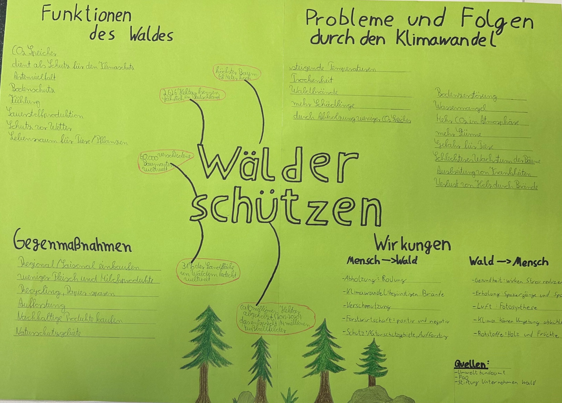 Der Wald und seine Funktionen