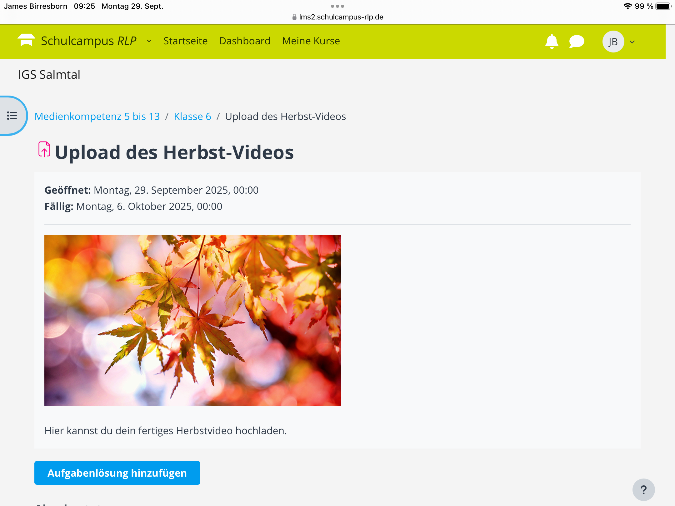 Galeriebild