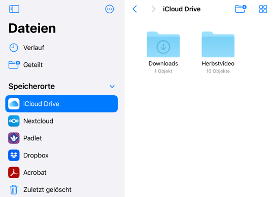 Hände halten ein Smartphone und filmen eine herbstliche Szene